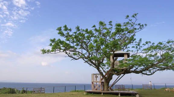 ユクサおおすみ海の学校 ツリーハウス